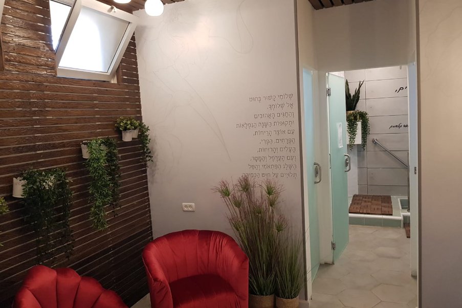 הושעיה image
