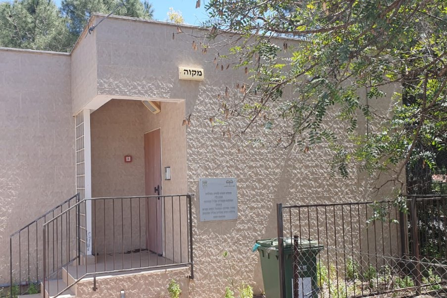אילניה image