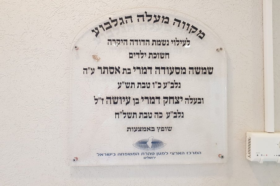מעלה גלבוע image