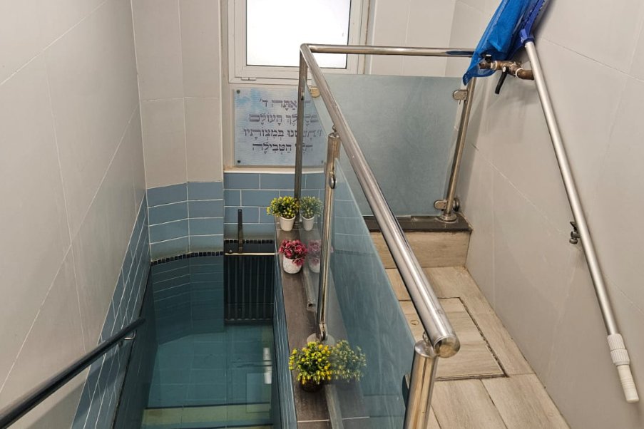 פסגות image